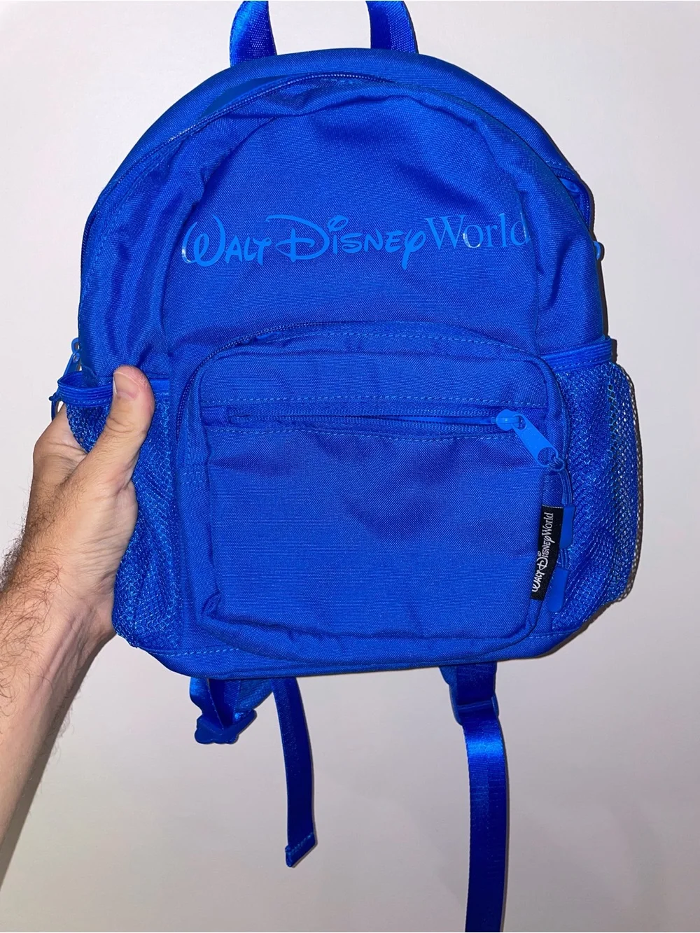 Disney color Walt Disney world last day blues mini Blue Backpack